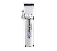 Breeshy Tondeuse à Cheveux Professionnelle Gold Clipper Men Rechargeable Barber Machine de Coupe de Cheveux Sans Silver