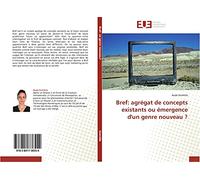Bref: agrégat de concepts existants ou émergence d'un genre nouveau ?