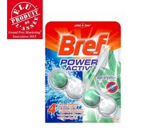 BREF WC Power Activ' Hygiène Eucalyptus 50g