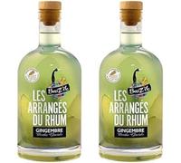 Breiz’île Les Ges du Rhum Gingembre Menthe Glaciale 0.7 L (Lot de 2)
