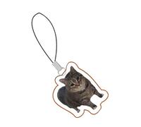 Breloque mignonne pour téléphone portable | Pendentif de sac portable - Porte-clés acrylique pour adolescents Sac à dos drôle chat chien émoticône pour téléphone portable Lanyard, Siehe