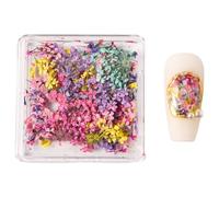 Breloques japonaises en forme de fleur séchée pour ongles - Décoration pour femmes et filles