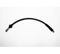 Brembo Flexible de frein T 50 043