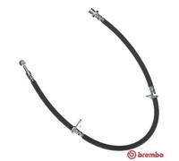 BREMBO Flexible de Frein avant Droit pour Honda Civic VI Hayon Fastback T 28 008