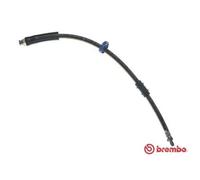 BREMBO Flexible de Frein avant Gauche Droite pour Fiat Ducato Choisir/Châssis