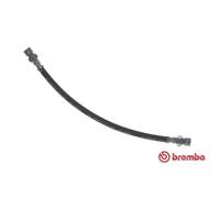 BREMBO Flexible de Frein avant Gauche Droite pour VW Golf I Transporteur III Bus