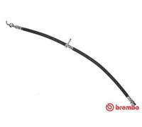 BREMBO Flexible de frein Durite de frein T 11 013 pour TOYOTA AYGO (WNB1, KGB1)