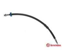 BREMBO Flexible de frein Durite de frein T 23 202 pour LANCIA YPSILON (843)