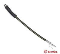 BREMBO Flexible de frein Durite de frein T 24 146 pour FORD TRANSIT Kasten (FA)