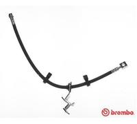 BREMBO Flexible de frein Durite de frein T 50 054 540mm