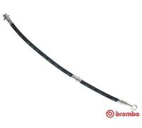 BREMBO Flexible de frein Durite de frein T 59 024 gauche, droit, Essieu avant