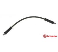 BREMBO Flexible de frein Durite de frein T 85 102 465mm
