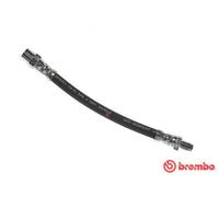 BREMBO Flexible de frein Durite de frein T 85 118 pour AUDI A6 Avant (4A5, C4)