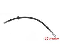 BREMBO Flexible de frein Durite de frein T 85 125 pour VW Lupo (6X1, 6E1) 410mm