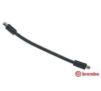 BREMBO Flexible de frein Durite de frein T 85 134 pour VW PASSAT Variant (3B6)