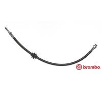 BREMBO T 06 020 Flexible de frein pour BMW