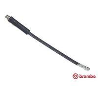Flexible de frein T 24 048 BREMBO pour FORD MAZDA
