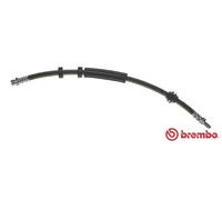 Flexible de frein BREMBO T 24 125