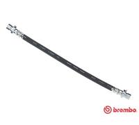 BREMBO T 28 012 Flexible de frein pour HONDA