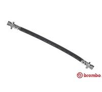 Brembo T 28 037 Flexible de frein