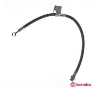 Brembo T 30 049 Flexible de frein