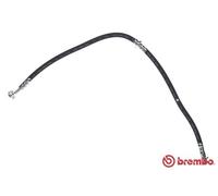 BREMBO T 56 180 Flexible de frein pour NISSAN