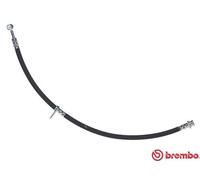 BREMBO T 79 042 Flexible de frein pour SUZUKI