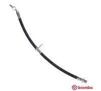 BREMBO T 83 095 Flexible de frein