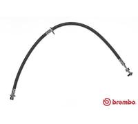 BREMBO T 83 099 Flexible de frein pour TOYOTA
