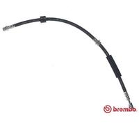 BREMBO T 85 144 Flexible de frein pour AUDI,SEAT,SKODA,VW