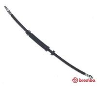 BREMBO T 86 029 Flexible de frein pour VOLVO