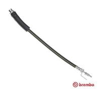 BREMBO Tuyau De Frein Avant Gauche Droite Pour Ford Transit Custom Bus T 24 146