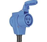 Brennenstuhl Prise coudée CEE camping 1080980 16 A 230 V 1 pièce