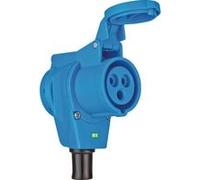 Brennenstuhl 1080980 Femelle coudée CEE 16 A 230 V 1 pc(s)