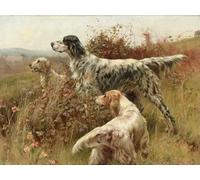 Brennora 5D Kit Peinture Diamant d'Art Mosaïque Crystal chien de chasse DIY Peinture par Numéros pour Enfants Adultes Décoration Murale 40x50 cm