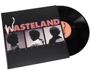 Brent Faiyaz - Wasteland 2LP Vinyl