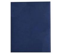Brepols - 1 Agenda Semainier Optivision Large - Dimension 16,8 x 22 cm - Janvier 2027 à Décembre 2027 - Couverture Trento Bleu