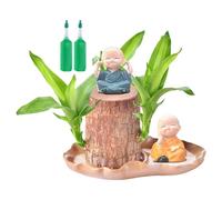 brésiliennes en pot, en bois brésiliennes - d'intérieur purifiantes d'air | Ornement décoratif avec 2 sculptures de moines et 2 solutions nutritionnelles, purificateur d'air