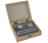 Bresser 25 Lames Préparées pour Microscope (Biologie)