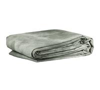Bresser BR-5118 Doek 3x6m Light Grey Classic