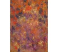 Bresser BR-I572 Fond 180x250cm | ✅ Livraison gratuite à partir de 100 €