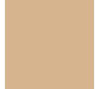 Bresser - Fond de Studio en Papier 2,00 x 11m Beige