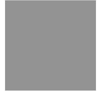 Bresser - Fond de Studio en Papier 2,00 x 11m Gris