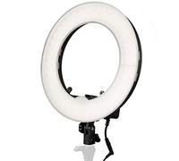Bresser Fotostudio BR-RL12 Lampe LED à intensité Variable avec Sac 45 W/4320 LM