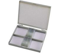 25 Lames Préparées Bresser pour Microscope (Biologie)