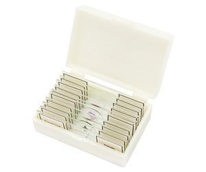 Bresser Microscope de haute qualité Lames préparées - Blanc (Lot de 10)