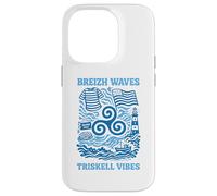 Bretagne Triskell Identité Bretonne Océan Symbole Breton Coque pour iPhone 14 Pro