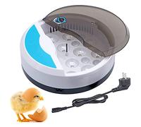 BREUAILY Mini 9 Oeufs Incubateur Couveuse Poussin avec Automatique De La TempéRature et Affichage NuméRique LED Incubateur Tortue pour Volaille Reptile Cadeau pour Enfants