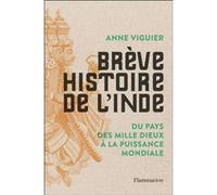 Brève Histoire de l'Inde – Du Pays des Mille Dieux à la puissance mondiale – Flammarion