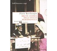 Breve storia dell'Italia meridionale. Dall'Ottocento a oggi
